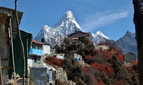 Zdjecie NEPAL / Himalaje, rejon Namcze Bazar / osada Mongla / Blaszaki w raju