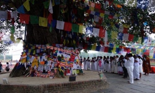 Zdjęcie NEPAL / Południowy Nepal / Lumbini / Modlitwa