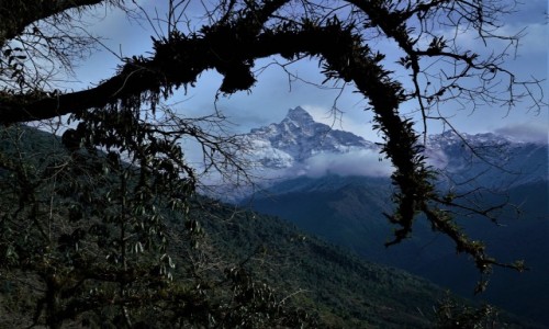 Zdjecie NEPAL / Pokhara / Ze szlaku na Matdi Himal / Machhapuchhare