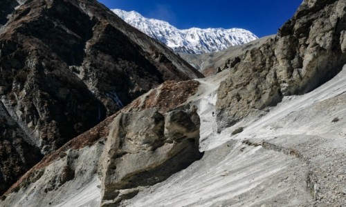 Zdjecie NEPAL / Khangsar / Himalaje / Tilitso Himal