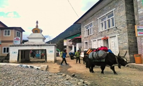 Zdjcie NEPAL / Himalaje / Lukla / Lukla 