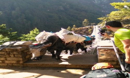 Zdjęcie NEPAL / Himalaje / na szlaku do Namche Bazar / Fotomodel