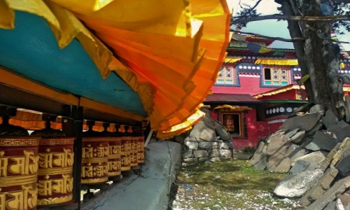 Zdjcie NEPAL / Himalaje / region Everestu / Mynki modlitewne