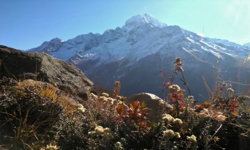 Zdjcie NEPAL / Himalaje / region Everestu / Z Thamserku w tle