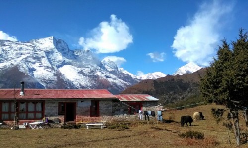 Zdjcie NEPAL / Himalaje / okolice Namche Bazar / Gospodarstwo w Himalajach