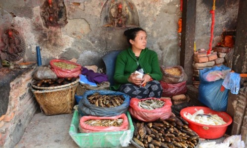 Zdjcie NEPAL / - / Katmandu / Katmandu