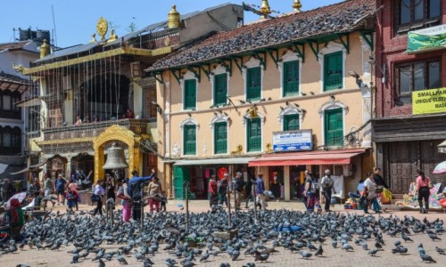 Zdjęcie NEPAL / - / Katmandu / Katmandu-Bouddhnath
