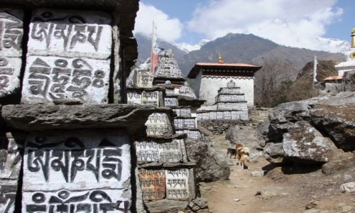 Zdjecie NEPAL / Khumbu / W drodze do Namche / Mantra,mantra, mantra