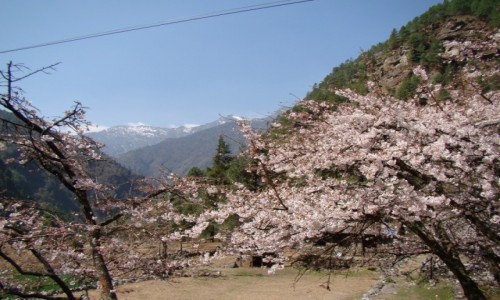 Zdjcie NEPAL / Khumbu / Dolina Dudh Koshi / Dolina Dudh Koshi