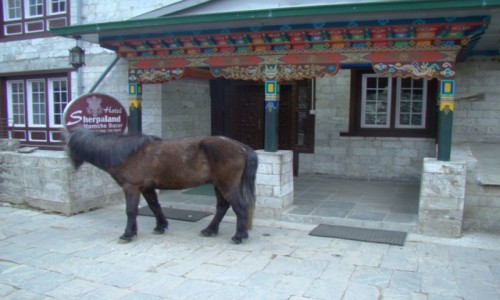 Zdjęcie NEPAL / Himalaje / Namche Bazar / Namche
