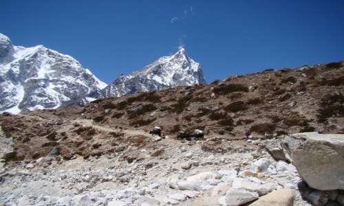 Zdjcie NEPAL / Himalaje / Dusa / Sagarmatha N P