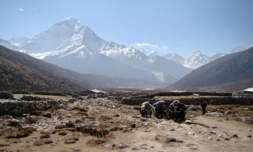 Zdjcie NEPAL / Himalaje / Pheriche / W drodze do Pheriche