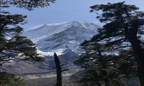Zdjecie NEPAL / Manaslu / Manaslu / Manaslu