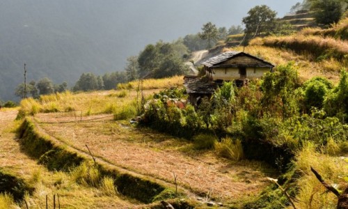 Zdjecie NEPAL / Himalje / Himalaje / Gdzie na trasie do Annapurna Base Camp