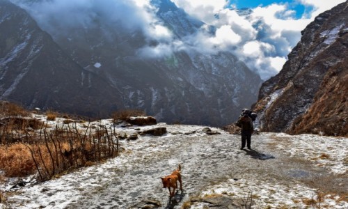 Zdjecie NEPAL / obszar Annapurny / Himalaje / W drodze