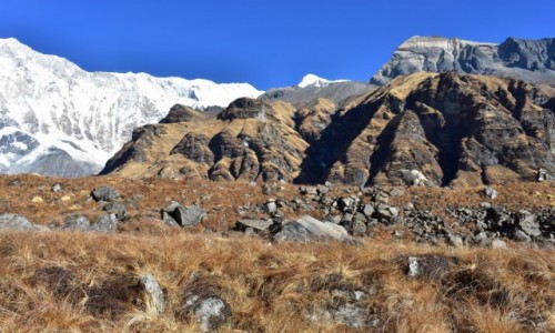 Zdjcie NEPAL / Obszar Annapurny / Himalaje / Rejon Annapurny