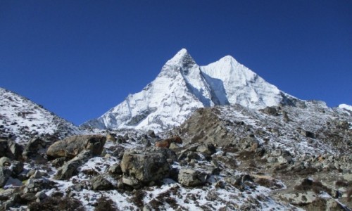 Zdjcie NEPAL / Sagarmatha National Park / Obz pod Island Peak / Ama Dablam