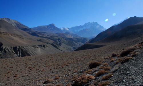 Zdjęcie NEPAL / Anapurna / Anapurna TREK / W drodze do Muktinath