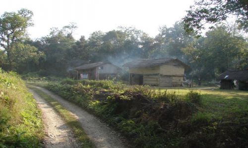 Zdjecie NEPAL / Dolina Kathmandu / Chitwan Park / Dom w dzungli