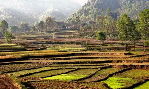 Zdjecie NEPAL / brak / W drodze do Katmandu / tarasy 3