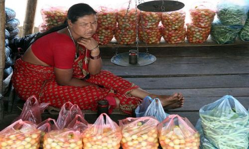 Zdjęcie NEPAL / brak / W drodze do Katmandu / Npalska handlarka