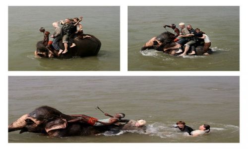 Zdjecie NEPAL / Rapti / Chitwan / kpiel ze soniami
