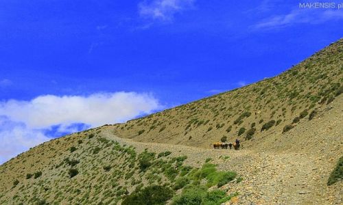 Zdjęcie NEPAL / JOMSON Trek / gdzies pomiedzy.. / Utarty szlak