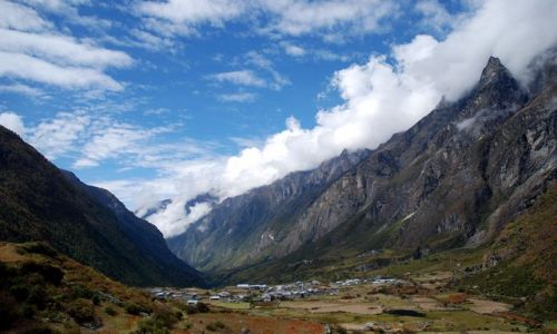 Zdjecie NEPAL / Langtang / Langtang / Trekking w dolinie Langtang