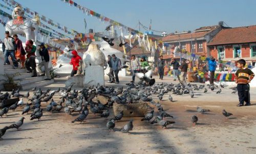 Zdjęcie NEPAL / Kathmandu valley / Kathmandu / Bodhnath Stupa
