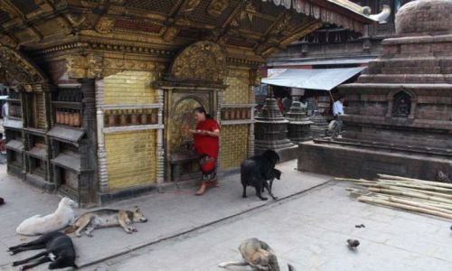 Zdjecie NEPAL / kathmandu / kath / swayambhunath stupa
