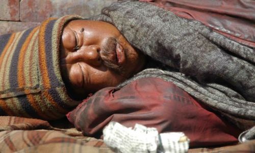 Zdjecie NEPAL / brak / kathmandu / w symbiozie z owadami