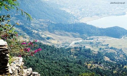 Zdjecie NEPAL / brak / Sarangkot 1620 m n.p.m. / Tarasy