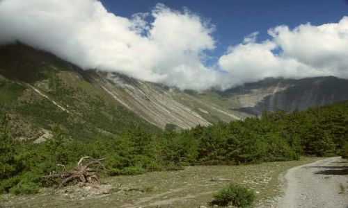 Zdjęcie NEPAL / Rejon Annapurny / Pisang / Nepal, Pisang