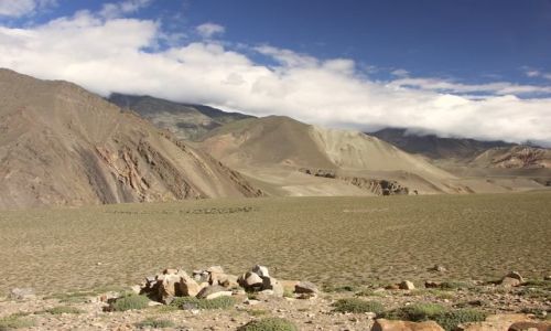 Zdjęcie NEPAL / Mustang / Kagbeni / Wypas bydła