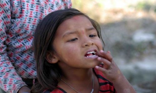 Zdjcie NEPAL / brak / nagar kot / cos na zb?