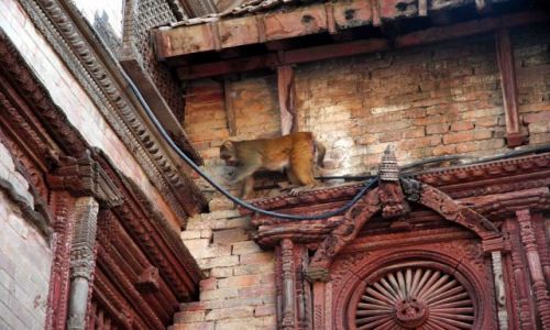 Zdjęcie NEPAL / durbar sq / kathmandu / każdy znajdzie tu swój dom