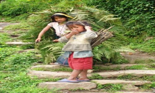 Zdjecie NEPAL / brak / gdzieś na szlaku / nie ma lekko..