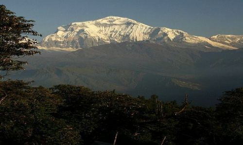 Zdjęcie NEPAL / Annapurna Sanctuary / Ghorephani / Dhaulaghiri 8164