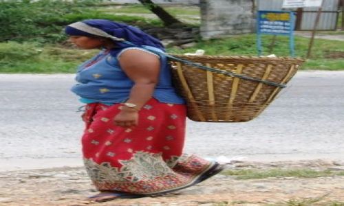 Zdjecie NEPAL / brak / gdzies na szlaku.. / z koszem