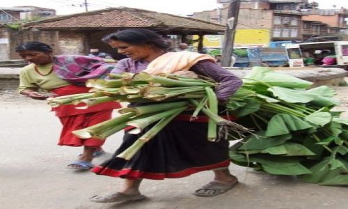 Zdjecie NEPAL / brak / gdzies na szlaku.. / z liciem pod pach