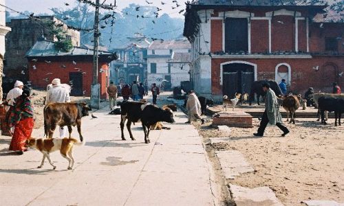 NEPAL / brak / Kathmandu / okolice Pashupatinath