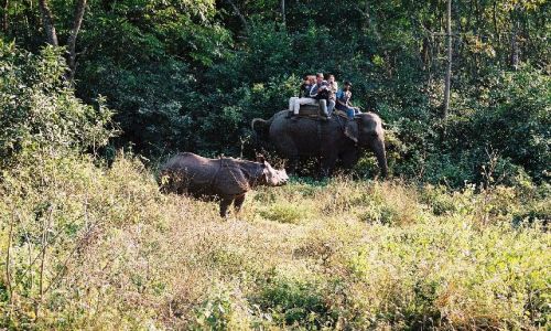 NEPAL / Terai / Chitwan / foto safari