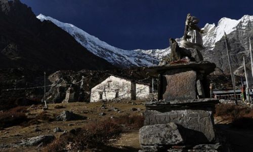 Zdjcie NEPAL / Lantang / Lantang / Kyanjin Gompa 3850m