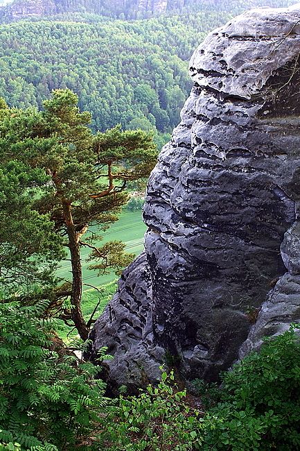 Zdjęcia: Bastei, Saksonia, Bastei 2, NIEMCY Zdjęcia: Bastei, Saksonia, Bastei 2, NIEMCY