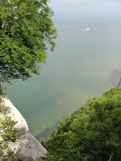 Zdjęcia: Nationalpark Jasmund, widok z klifu, NIEMCY Zdjęcia: Nationalpark Jasmund, widok z klifu, NIEMCY