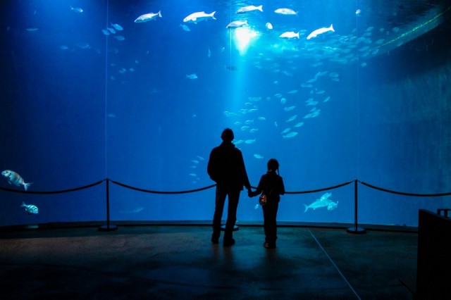 Zdj cia: Zimowy rejs Batyk, Straslund - Rodzinne ycie na Fali, NIEMCY