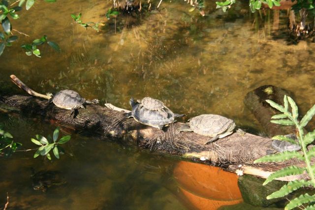 Zdjęcia: Tropical Center, Na wycieczkę..., NIEMCY Zdjęcia: Tropical Center, Na wycieczkę..., NIEMCY