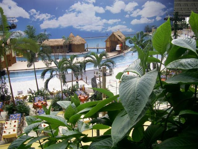 Zdjęcia: Tropical Islands, Krausnik, Las Tropicalny, NIEMCY Zdjęcia: Tropical Islands, Krausnik, Las Tropicalny, NIEMCY