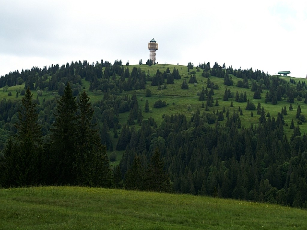 Zdjęcia: Schwarzwald, Badenia - Wirtembergia, Feldberg, NIEMCY Zdjęcia: Schwarzwald, Badenia - Wirtembergia, Feldberg, NIEMCY