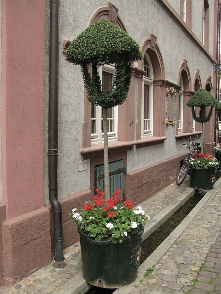 Zdjęcia: Schwarzwald, Badenia - Wirtembergia, Freiburg, NIEMCY Zdjęcia: Schwarzwald, Badenia - Wirtembergia, Freiburg, NIEMCY
